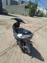 مراوس • شحن • للبيع