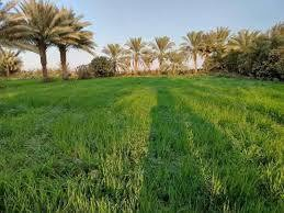 سلام عليكم
متوفر كاع تفاصيلها بل بل صوره
الصوره جذب النتباه
***********
