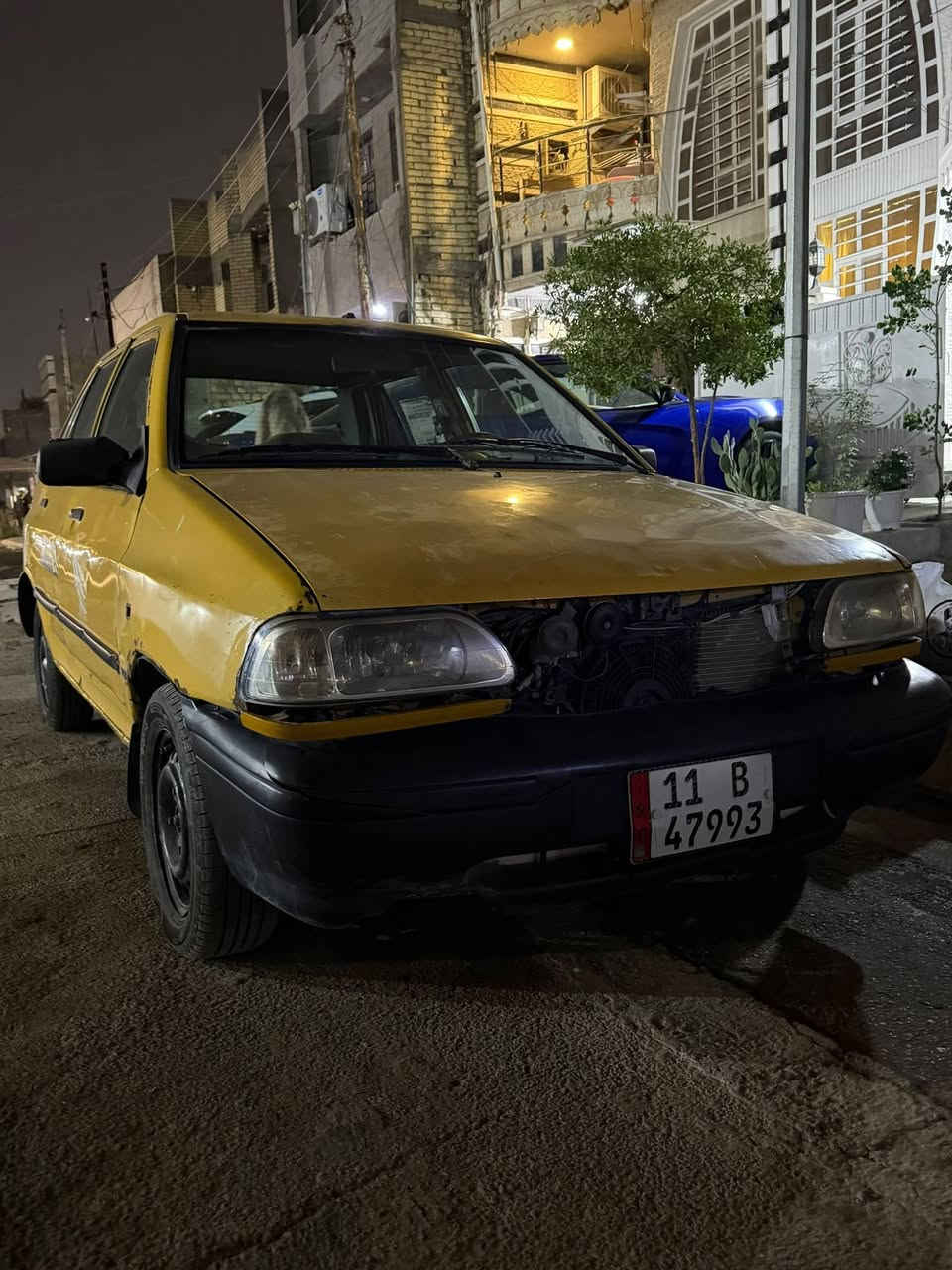 سايبه • ٢٠١٢ • الشعب
