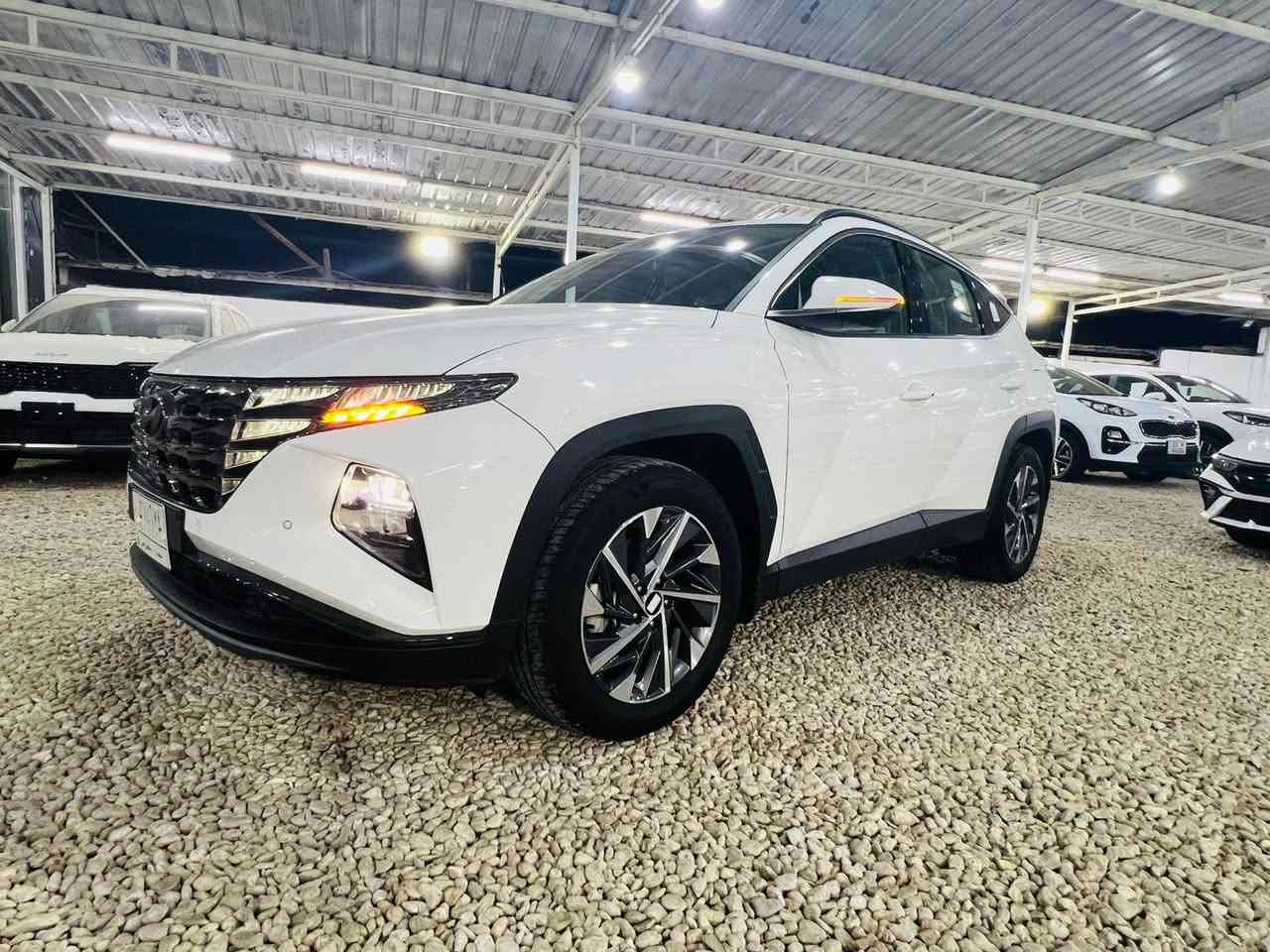 معرض درة بابل 
الموقع. بابل     طريق.              توكسان   TUCSON  

رقم بغداد 

موديل 2024         خليجي  

   السعر 205$

                      مكفوله. كفاله عامه 

 ماشيه ،17الف حقيقي 

     المواصفات         

 بصمه 

شباك لد  

برد. خلفي 

لايت عدسات زنون 

 سايد بريك بصمه 

 تحكم ستيرن فول

 شاشه كبيره  بلادي ابل كار بلي

كروز سرعه Cruise 

مانع انحدار 

👍  حساس خلفي 

👍حساسات امامي 

👍 ثلاجه بل جكمجه 

👍كشنات  كهرباء عدد2

👍 دشبول 3. اللوان 

👍 بصمه ابواب

👍 دبل ايرباك 

👍 اشاير ترحيب   

👍شحن لاسلكي 

👍نظام تشخيص العطل عن طريق الشاشه 

👍محرك cc2000 

👍كامره خلفيه دواره  

👍5 ويل كب  حجم 18

👍للاستفساراكثر اتصل على الأرقام التالية

    *********** وسام المعموري 

*********** ظافر السيلاوي
