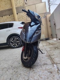 ثعلب نوزل • اوراق كامله • ٢٠٢٣