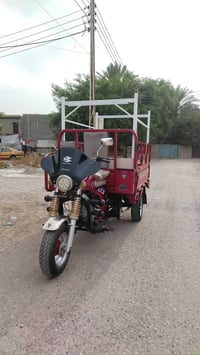 ستوته • دولفين • ٢٠٢٠