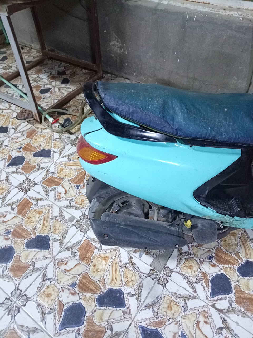 فراشة • نضيفه • بني منصور