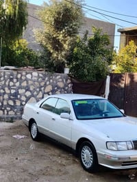بطه مكفوله • مع شرعيات • بابل الدبله
