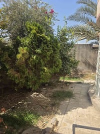 حي الزهراء • ٤٠٠م • غرفتين