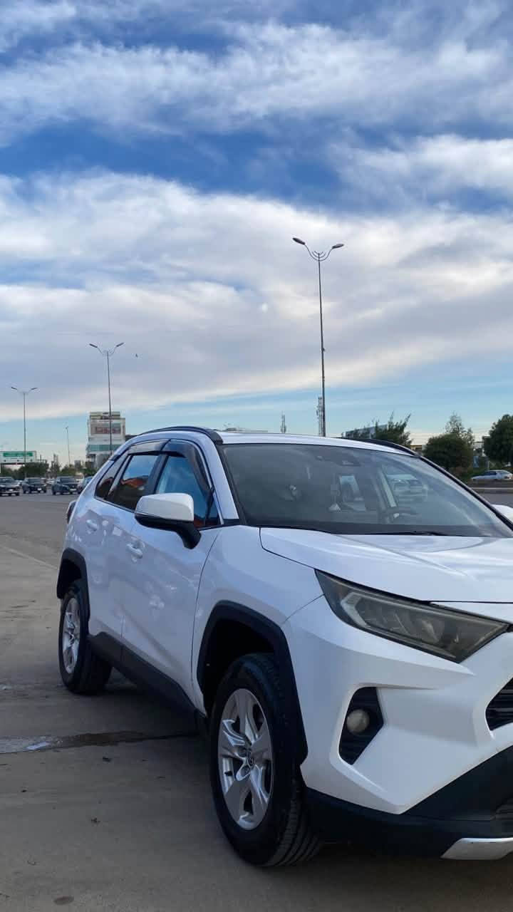 XLE • ماشية ١٣٠ • رقم اربيل