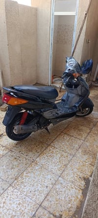 سكنس فحل • مراوس • زعفرانيه