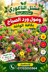 مشتل الناعوري • نباتات زينة • ورد الصباح