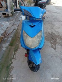 سكنس فحل • نوزل • شغال
