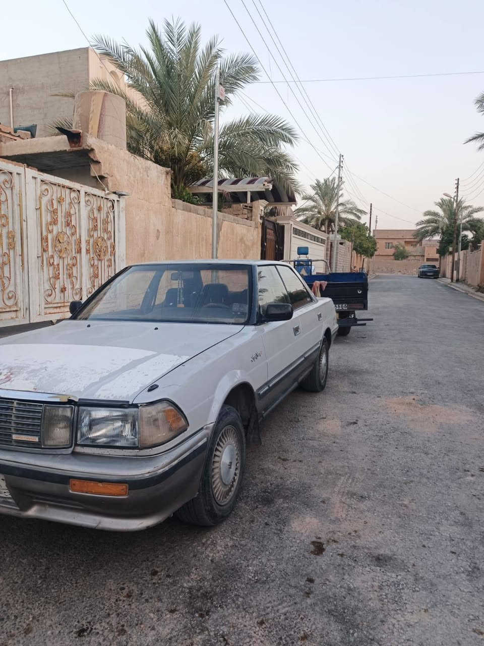 +964 770 952 1216صاحب السيارة
