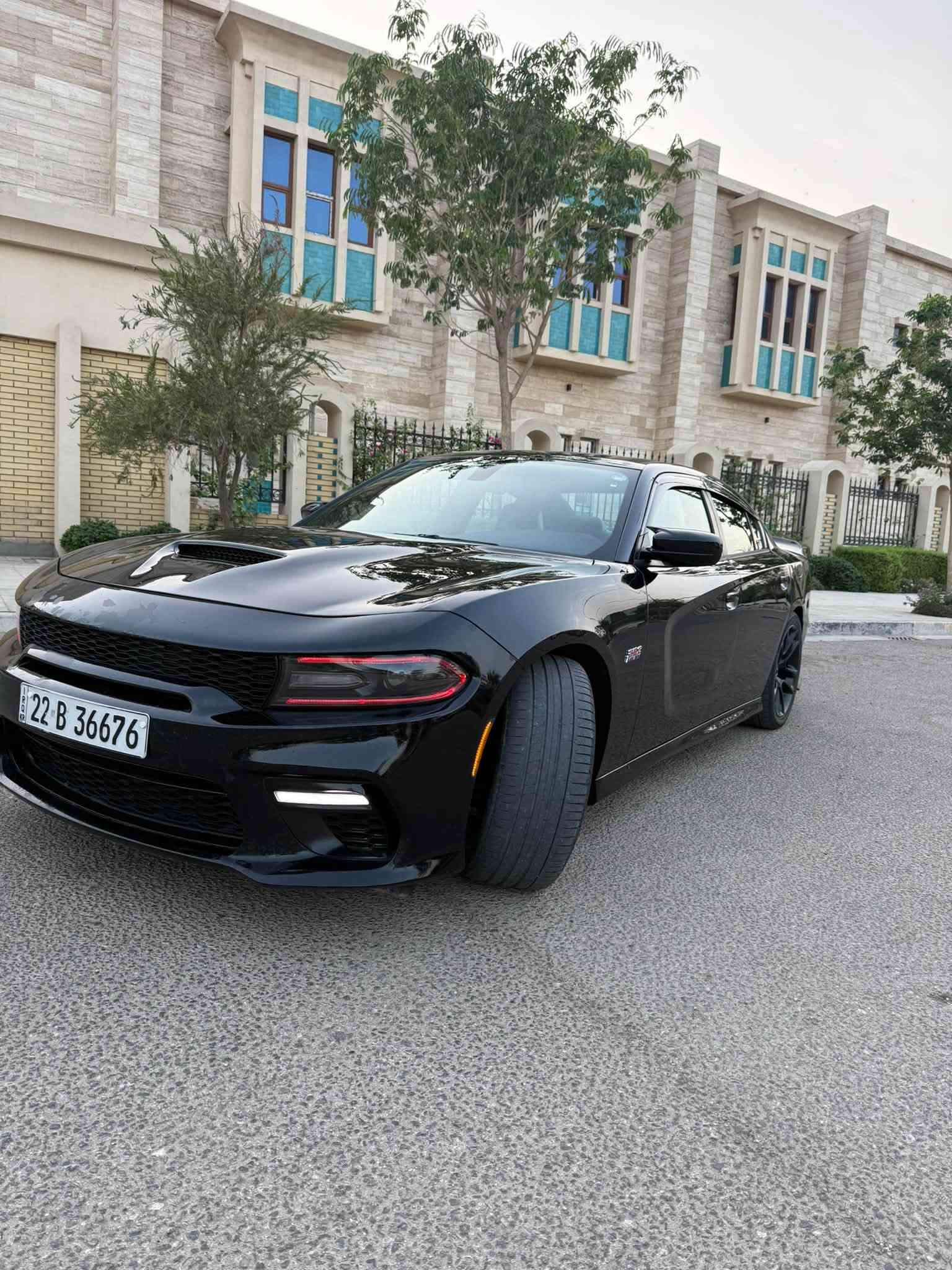 سكات باك فول • بدون ايرباك • رقم اربيل
