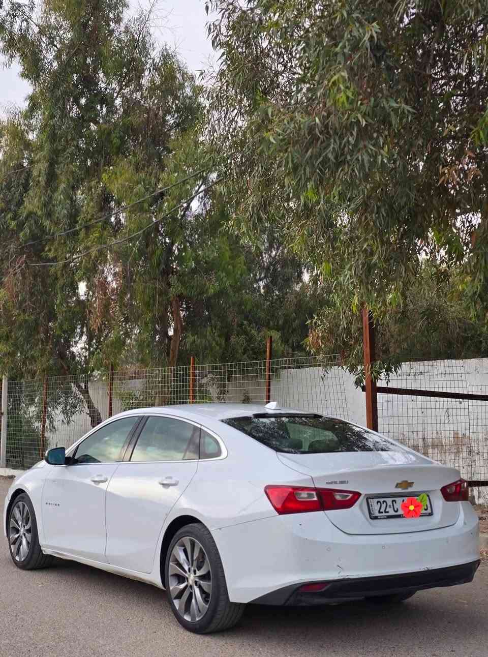الـــســـعـــر  99$ 

( شوفرليت ماليبو خليجي LT ) 
موديل 2018 

محرك 2.5 تنفس طبيعي 
کير ATF 
( السيارة خليجي وكاله ) 
بيها قطعتين صبغ چاملغات امامي رش بدون دواخل..
السيارة مواصفات LT لون ابيض 
تبريد قطعتين 
خمس بصمات
مانع انزلاق
لدات ضباب
ويل برايمر 
شاشة تدعم كاربلاي واندرويد اوتو ستوب 
أشاير مري 
تحكم ستيرنگ فول 
مثبت سرعه كونترول 
گيج 240 
شاشة أعطال الكتروني
مكان السيارة بغداد
رقم اربيل
اتصال ( *********** )
