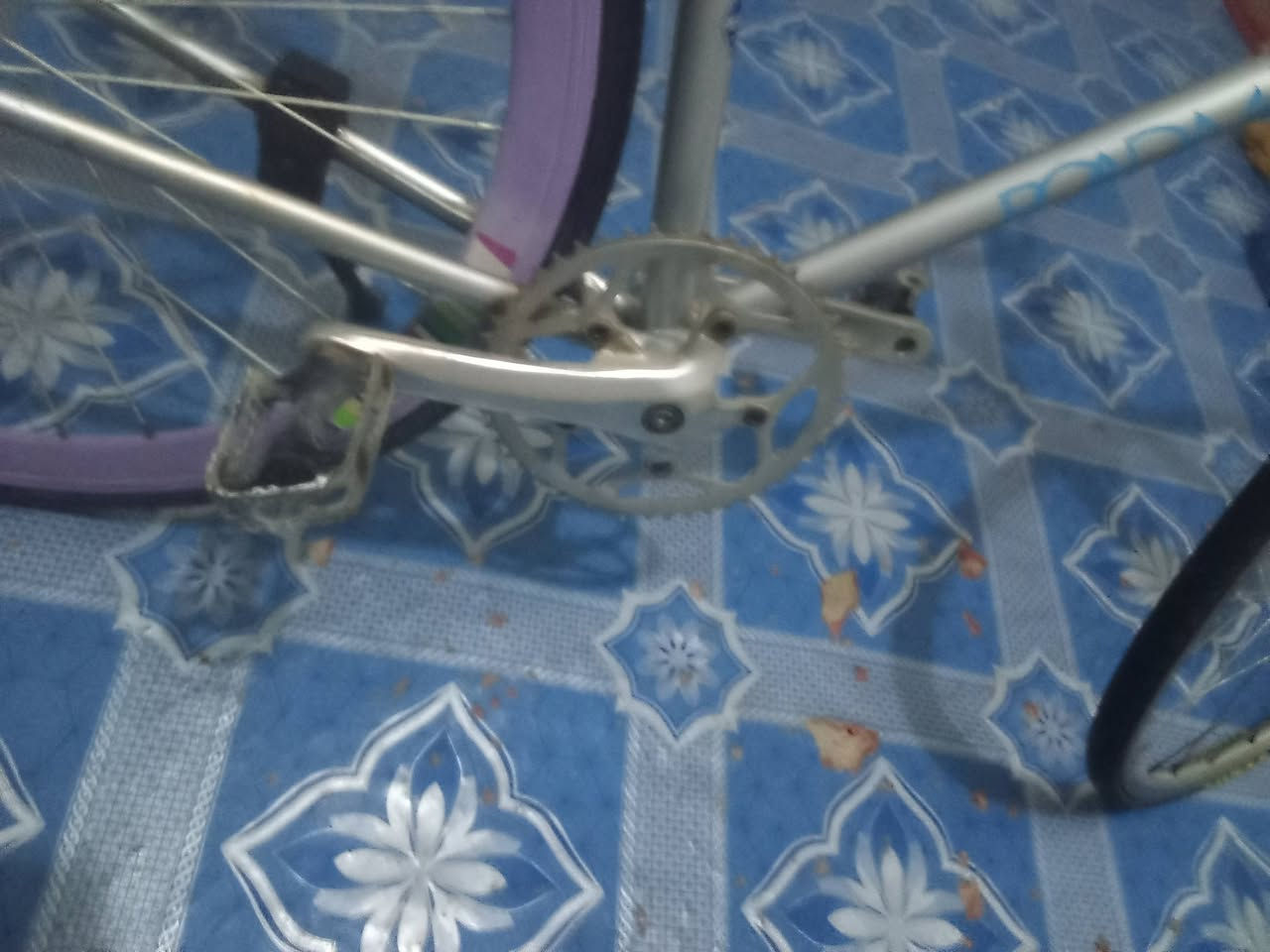 سباق • حجم ٢٨ • نقص زنجيل