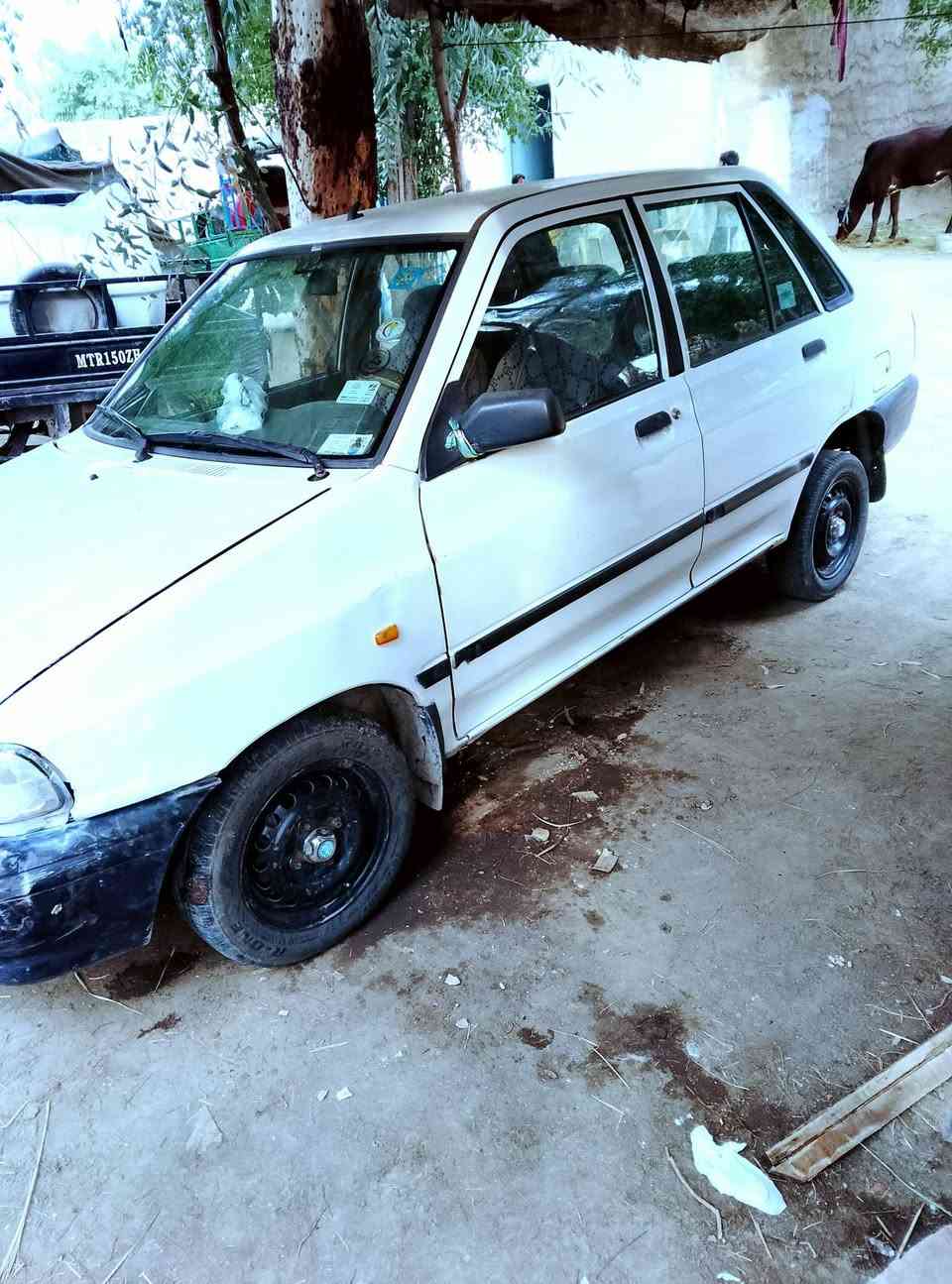 سايبا • النجف • شراي