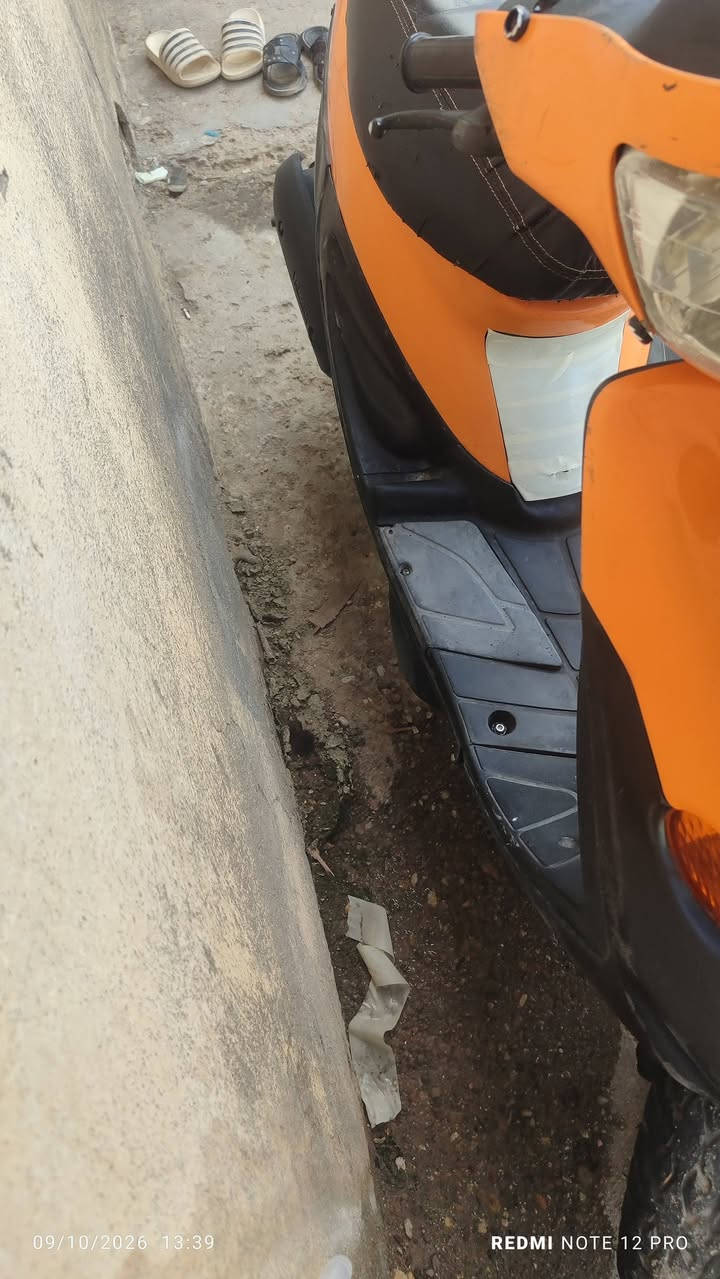 بيجي • تسع زروف • شغاله