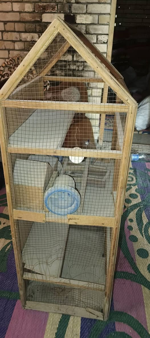 للبيع قيم واخذ واتساب ***********
