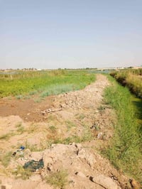 اليوسفيه • ٥دونم • شاطيه