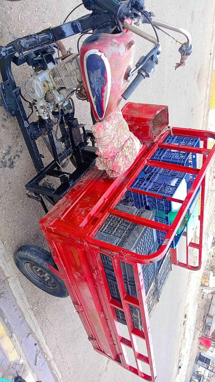 ستوته • دايون • كفالة