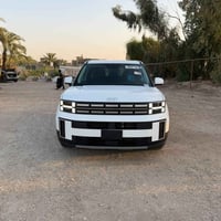 سنتافي ٢٠٢٥ • ٢٥٠٠ توربو • ضرر صبغ
