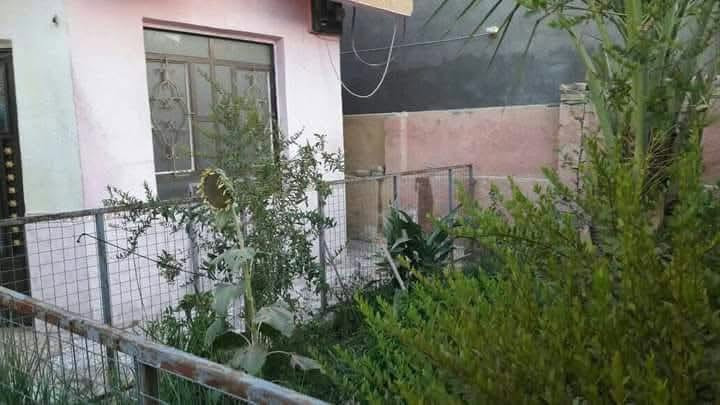 بيت الجربوعيه الاولى • مراوس • خلف حيدر الحداد