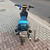 تايگر • ٢٠٢٤ • شرط
