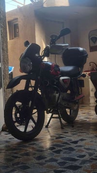 بوكسر • ٢٠٢٣ • مرقمه