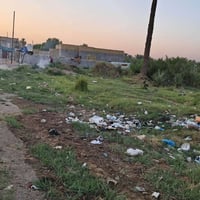 طوريج الحولي • ٢٣٠م • سند ٢٥