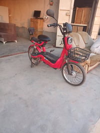 موديل ٢٤ • بطاريات جديدة • الضلوعية