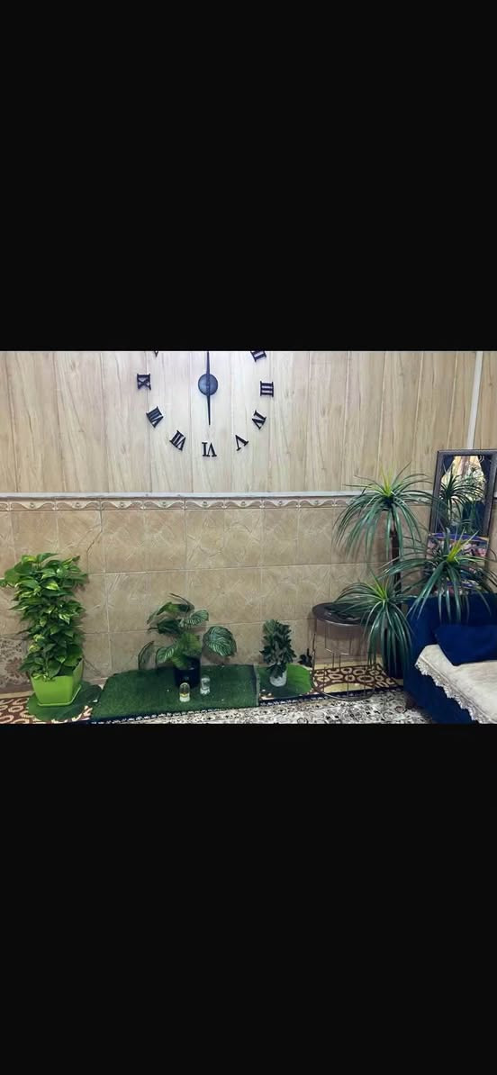 دار للبيع طابقين

المساحه 50 متر

اعكادةًنضيف جداا وعالي

الطابق الاول صاله حولي مطبخ +خدمات

طابق الثاني غرفتين نوم #خدمات

الواجه4

النزال12.5

العنوان الحريه الاولى شارع الكازينووو لقرب الحديقه شارع الربيع المربع الذهبي طابو ملك صرف استثماري ‭+964 775 223 9601‬ بغداد, العراق
