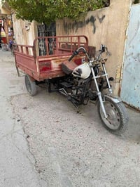 ستوته • MTR • بدون أوراق