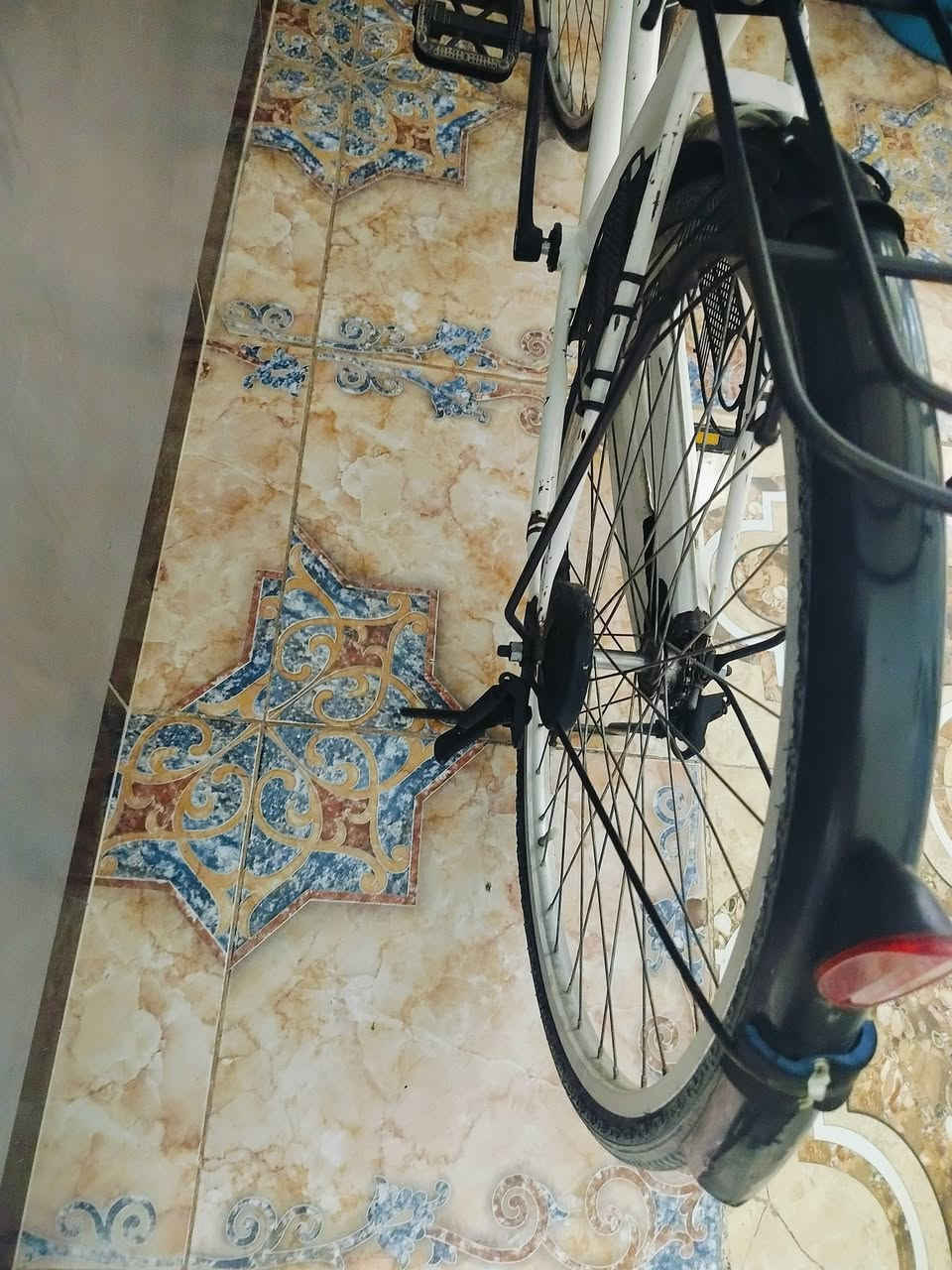 بايسكل • حجم ٢٦ • ياباني