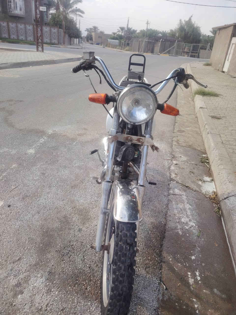 بدون وراق • امحموديه • الطيفيه