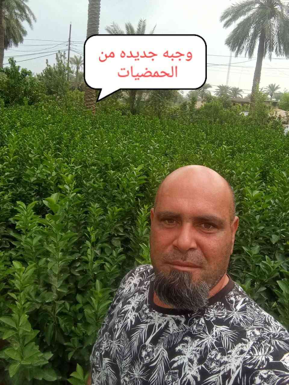 مشتل الجمعيه • الدجيل • حمضيات مطعمة
