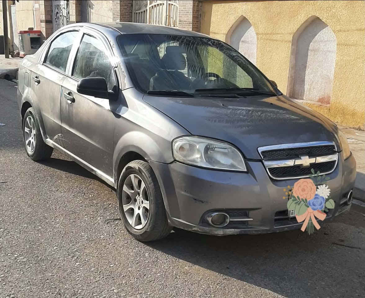 افيو • ٢٠٠٨ • بلدروز