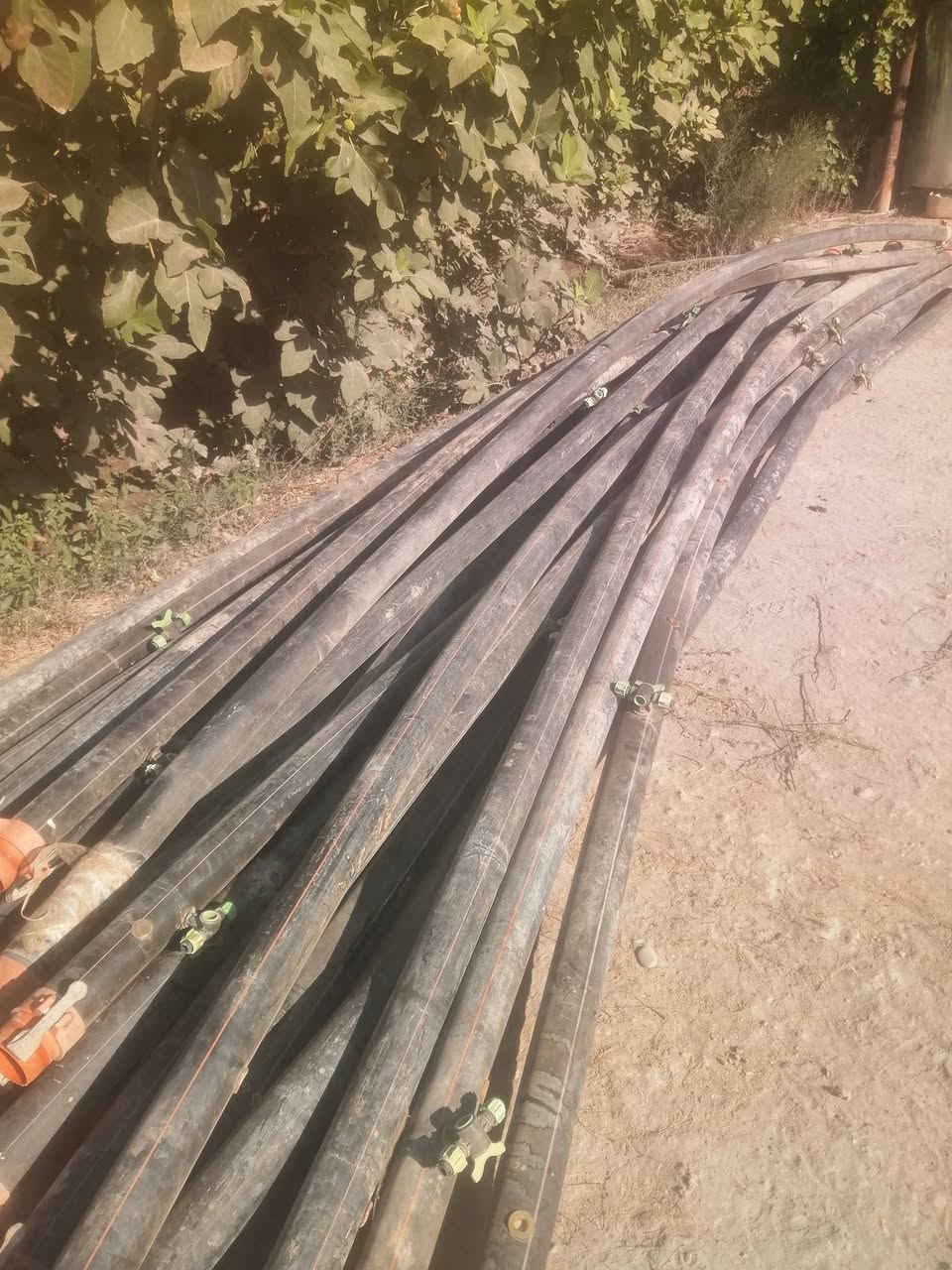 بواري البيع مالت تقطير ٢٥بوري ٥٣بوري ماء زفات ابو ثنين ونص السعر ٥لف البوري الاتصال على الرقم ***********
