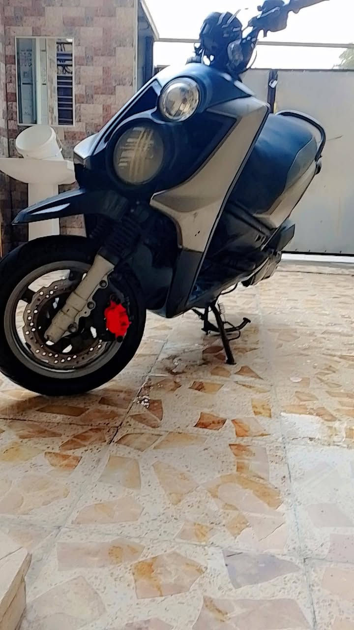 سكنس جبلي • مكفول • كماليه