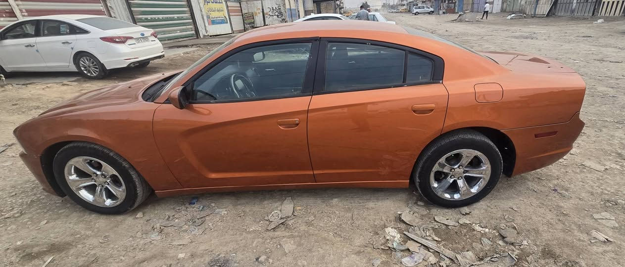 جانجر • ٢٠١١ • ديوانية