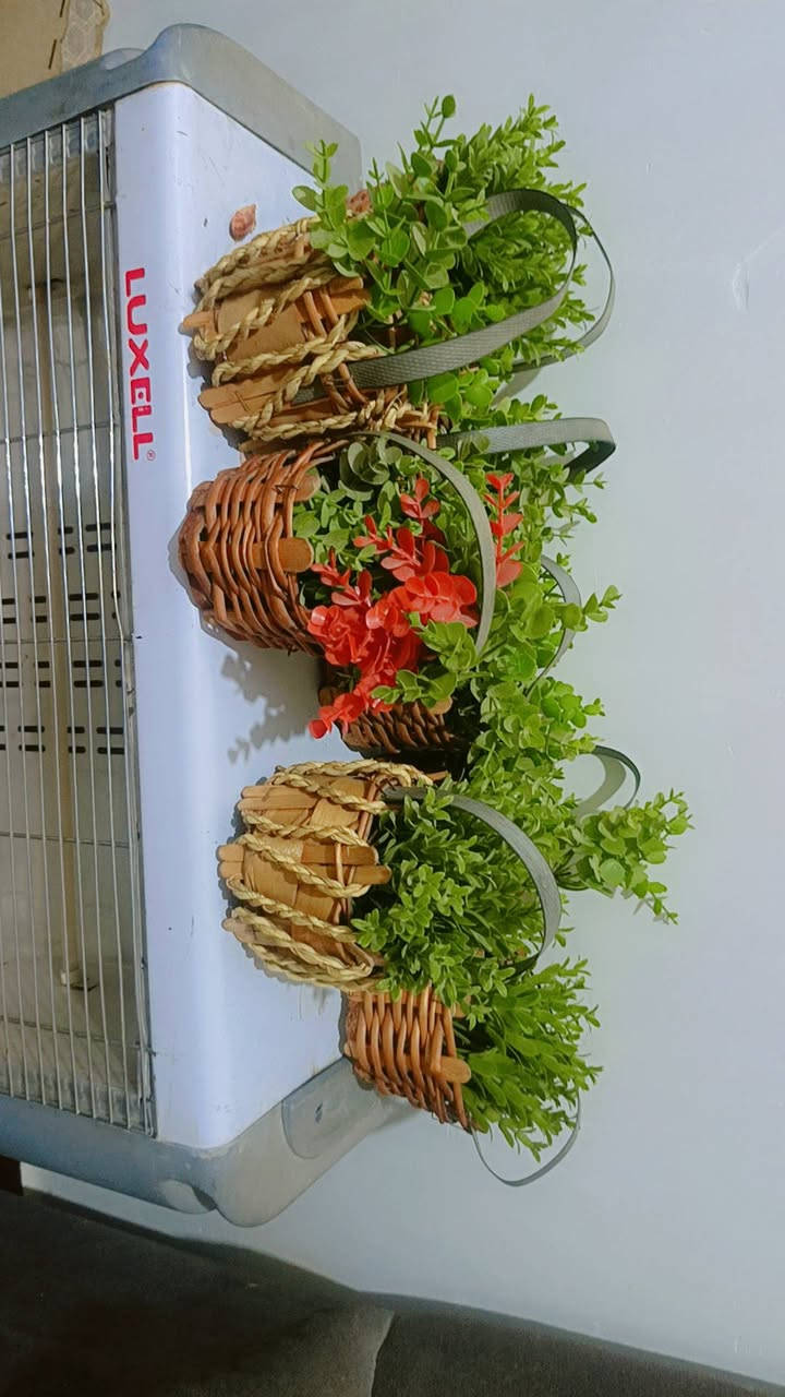 مجموعه ورود تخبل مال مطبخ او درج سعر الوحده الف يعني ذني كلهن ب8الاف عدد 8ومتوفر توصيل داخل ناصريه الفين دينار ***********
