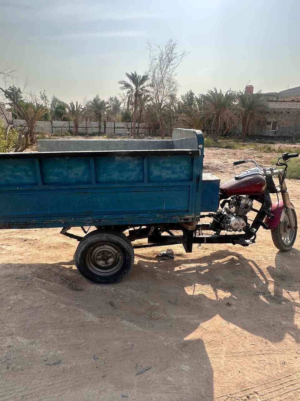 ستوته • رقم بيض • سنويه