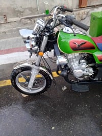 ستوته • ٢٠٢٣ • مكفولة