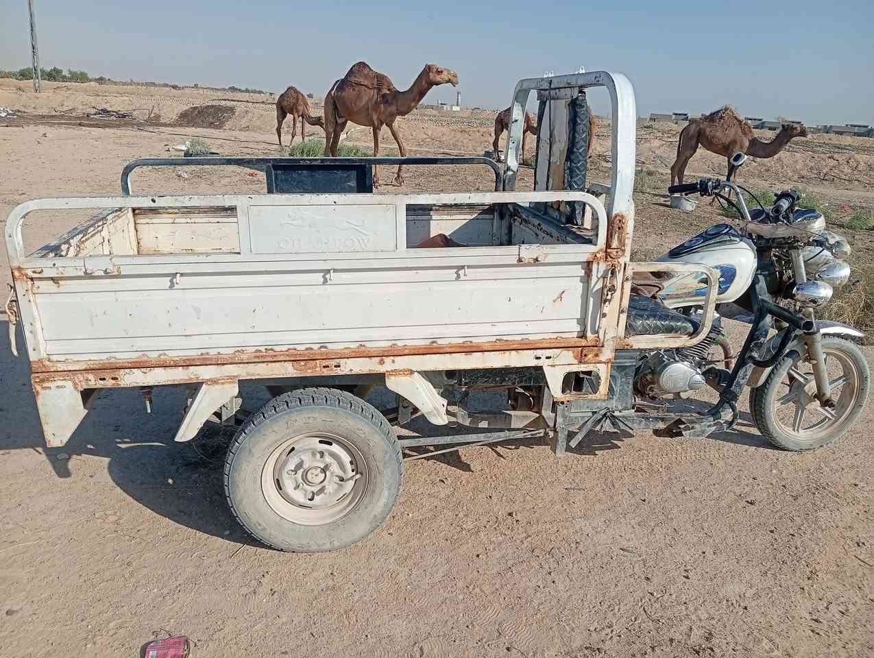 سلام عليكم ستوته جمره موديل 21 ستوته رقم وسنويه سنويتها لسنت 28 مداور ثاني يوم ستوته مكفوله كفاله عامه شاصي مكفول اكسن شرط محرك هستوني شاده قبل شهر ستوته حلوه كال جناي خير من الله مكانها النجف خان النص التواصل ***********
