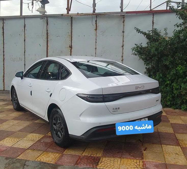 سيل ٥ • ٢٠٢٥ • رقم نينوى