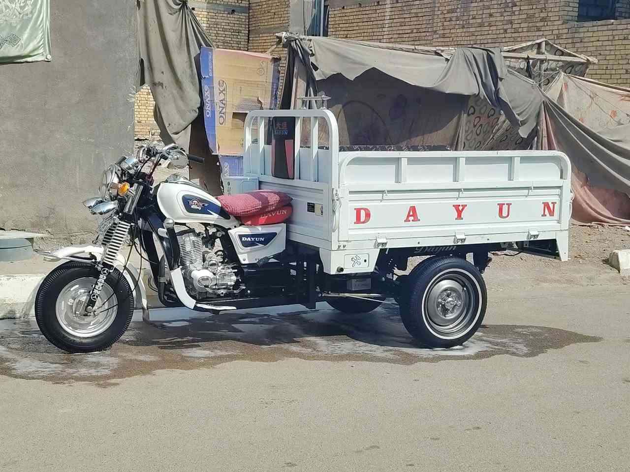 ستوته • ٢٠١٦ • مرقمه