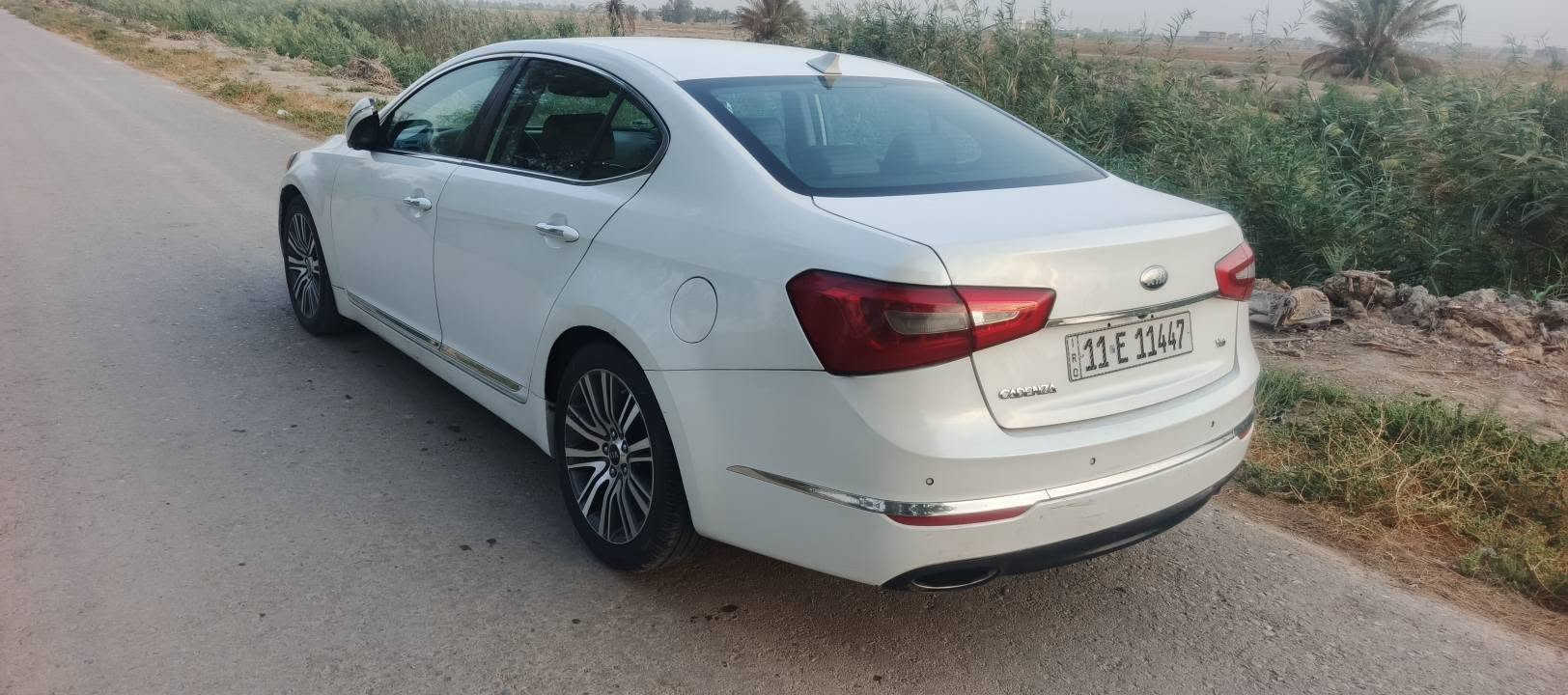 كاتنزا • ٢٠١٤ • تحويل مباشر