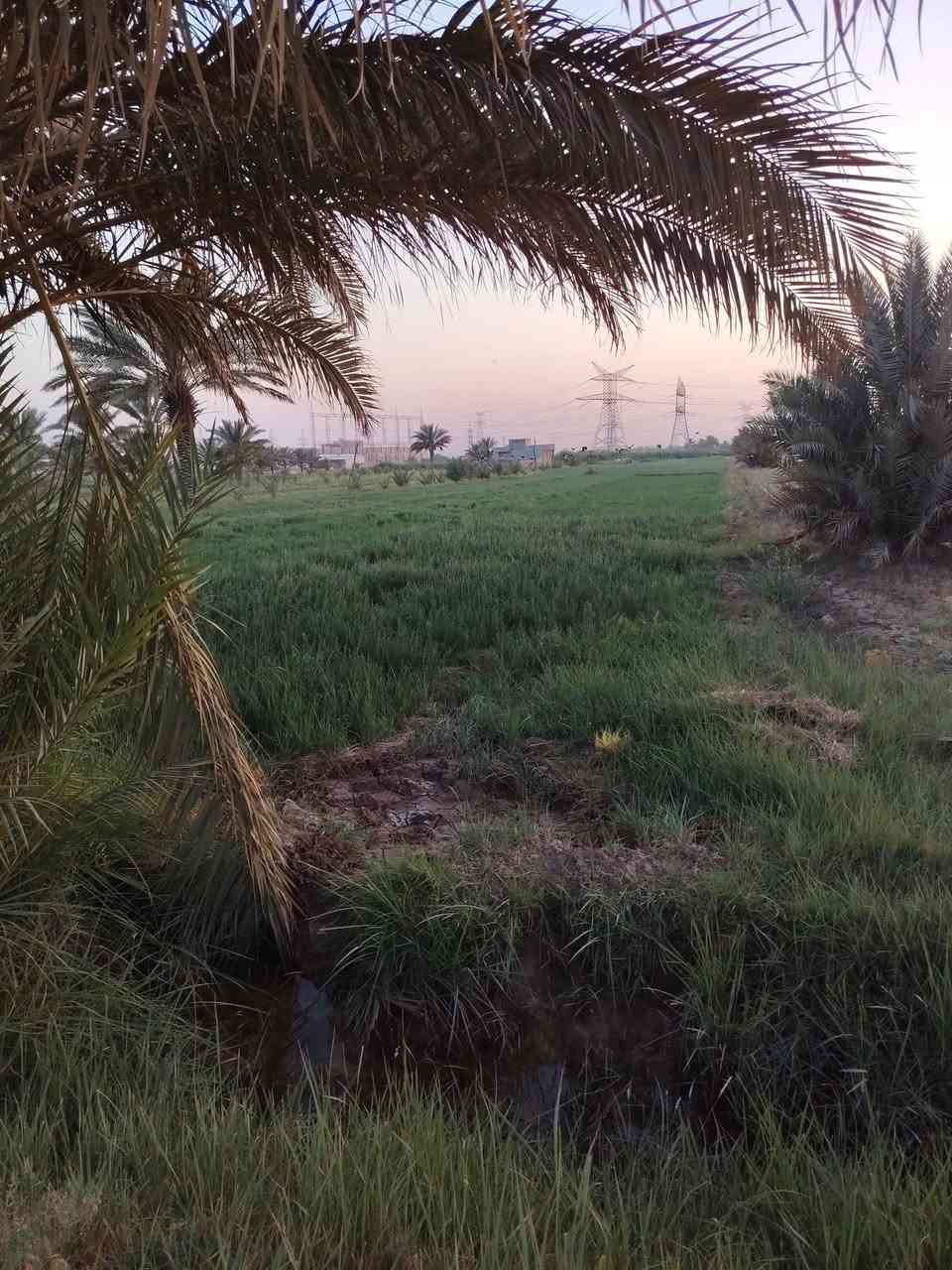 ارض زراعيه للبيع ارض كلش حلوه مساحته 5 دونم واصله كهرباء ومي اساله ومي سكي كلشي متوفر بيه
عنوانه طريق كربلاء حله خلف طاقه الكهرباء قرب المعهد التقني بابل
للاستفسار ***********
