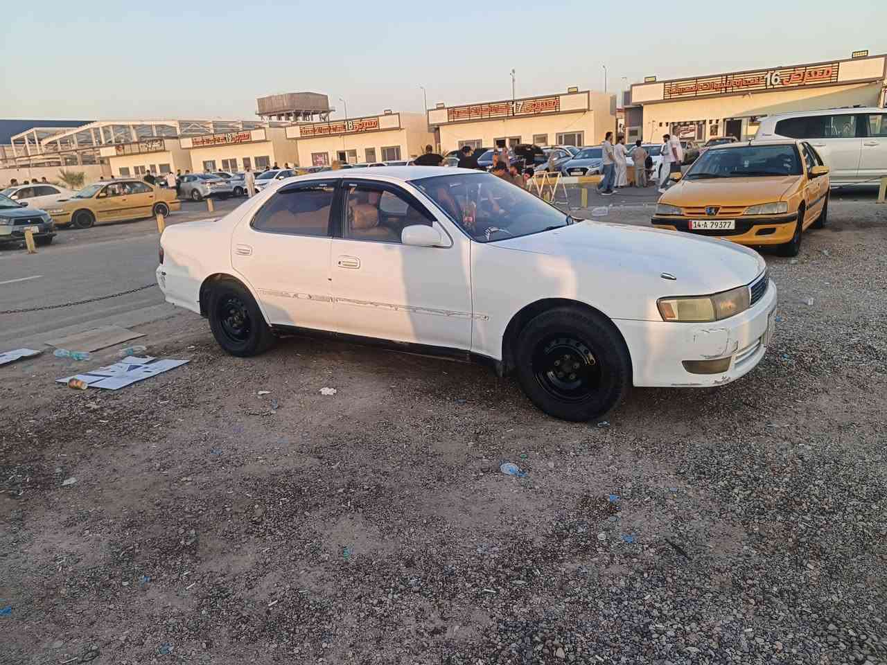 كرستة • كفالة سنة • سنوية ٢٠٢٩