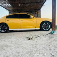 جارجر • ٢٠١٣ • سوك الشيوخ