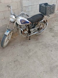 جني • بدون اوراق • ناحية السلام