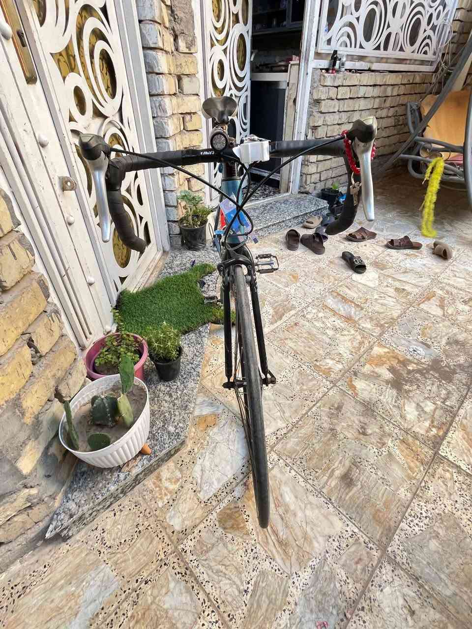 فورمات • سباق • شيمانو