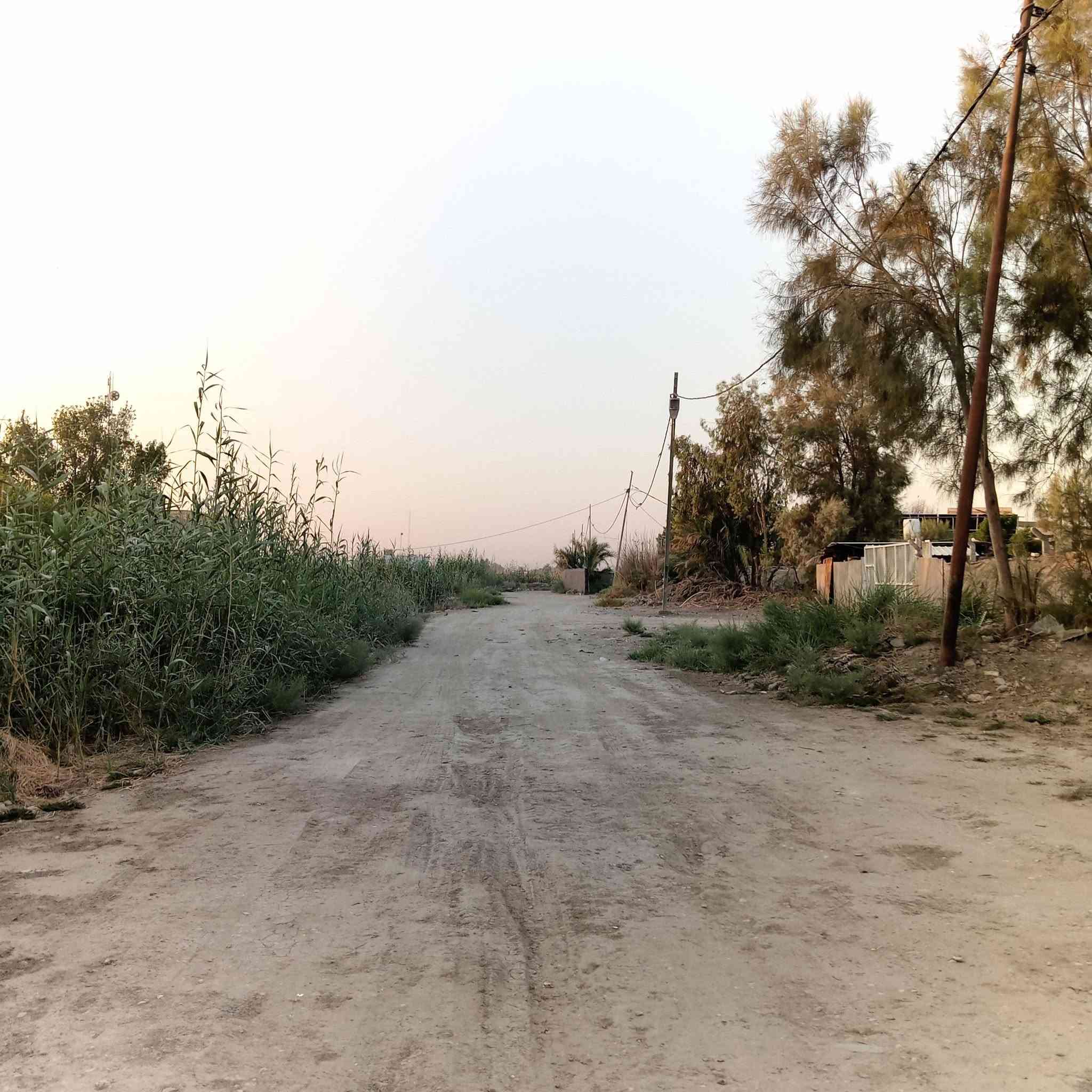 سلام عليكم  بيت اللبيع مساحه البيت 250متر وكاع دونم ونص بيت جاهز من كل النواحي  بيت بي 3غرف وصاله 7متار وغرفه 7متار وغرفتين5متار وحمام داخلي وخارجي  ومطبخ 4×4
 وخارجي  وستقبال خارجي 10متار بيت يكون قريب من مدرسه بعد 50متر ومحوله تقرب 50متر ماي 💦 اساله بوري في  بالباب  المكان دوانيه دغارة قرب سيطرت الدغارة ومدرسه زيد شهيد     الاتصال والاستفسار ***********
